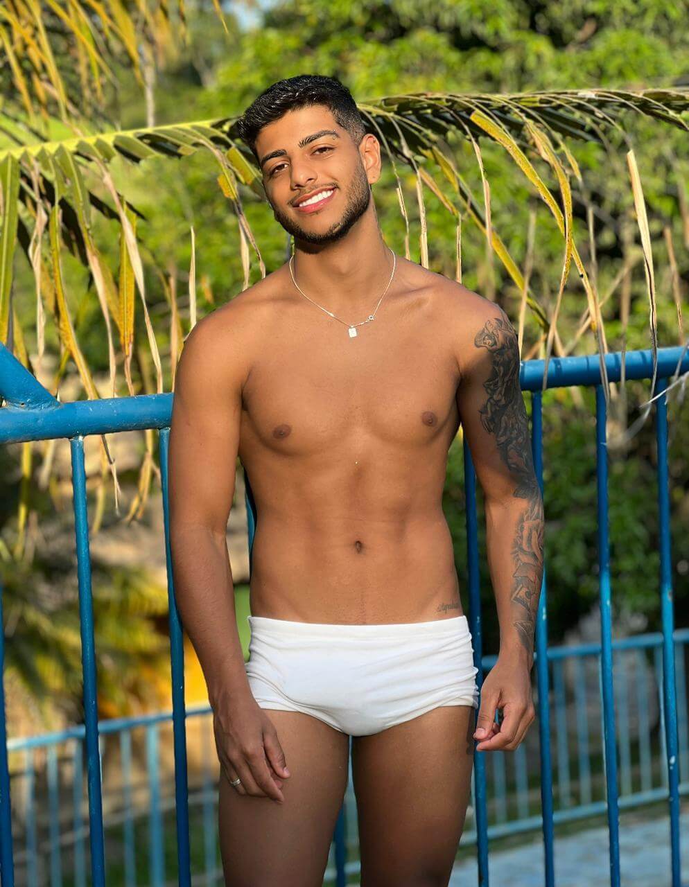 Conteúdo