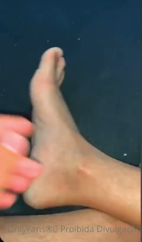 Conteúdo