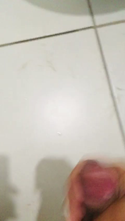 Conteúdo