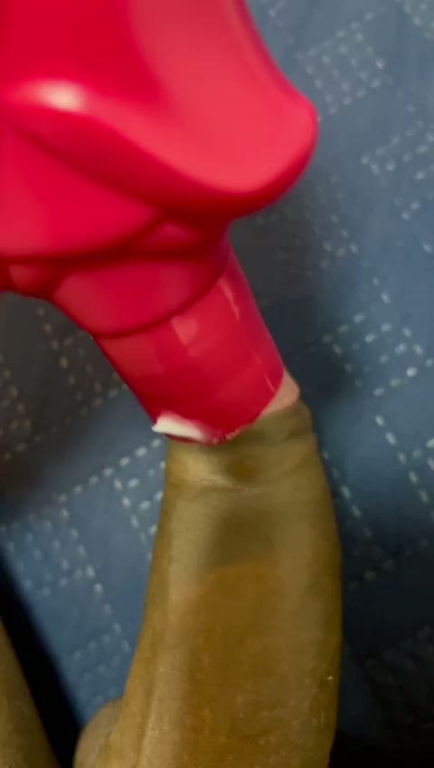 Conteúdo
